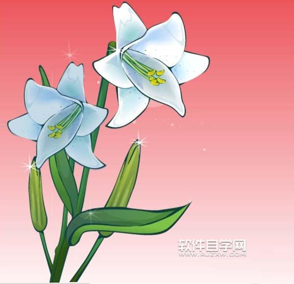 ai怎么畫百合花效果圖