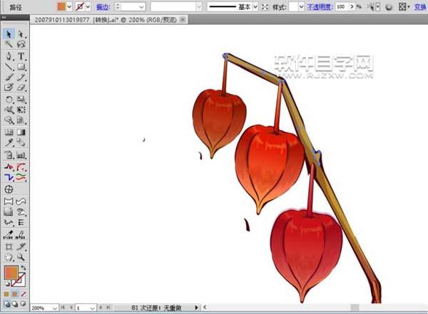 ai怎么畫新鮮燈籠果