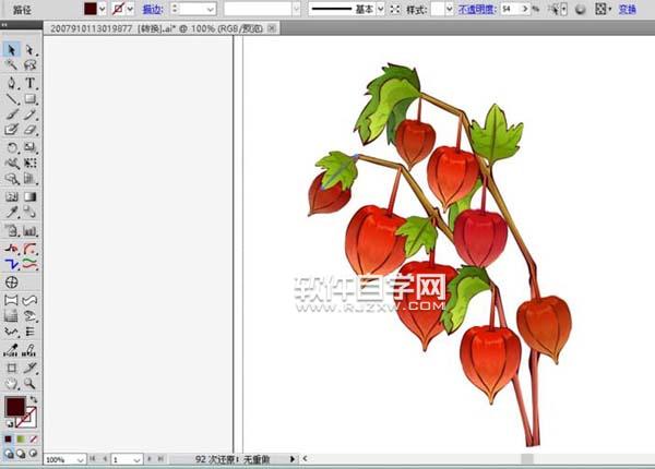 ai怎么畫新鮮燈籠果