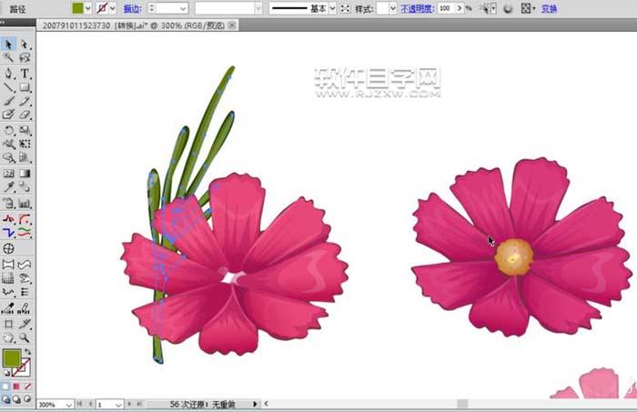 用AI設計波斯菊畫法