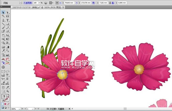 用AI設計波斯菊畫法