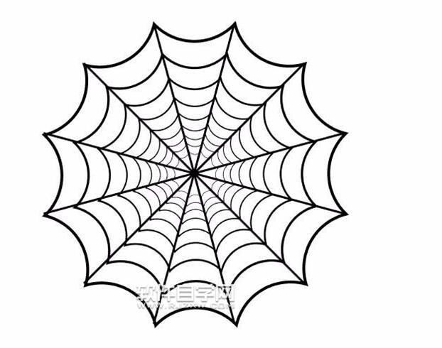 AI怎么繪制蜘蛛網(wǎng)？