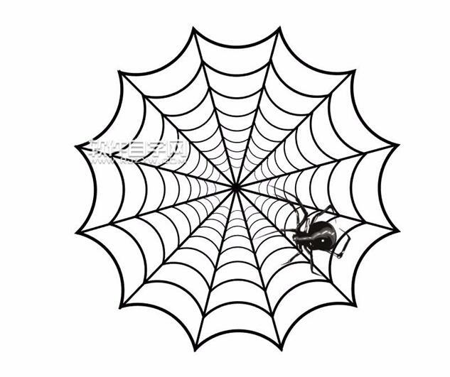 AI怎么繪制蜘蛛網(wǎng)？