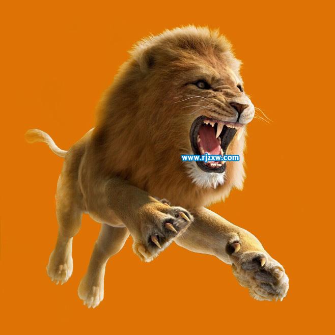 用PS把動物園的獅子摳出來