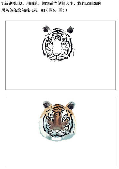 PS手繪老虎圖片