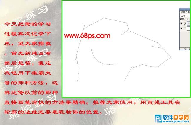 PS繪制沙漠駱駝插畫