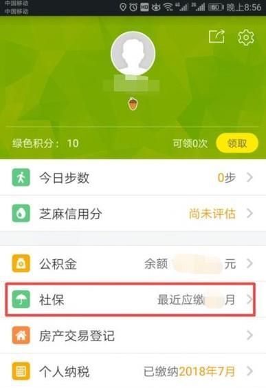 在哪里可以查到個人社保繳費信息？