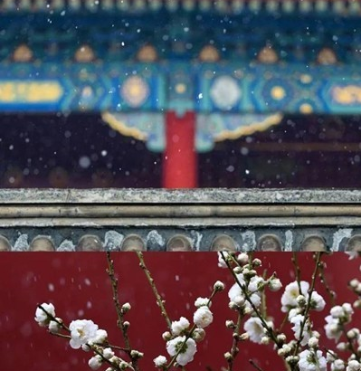 手機拼圖軟件哪個好用 相片組合軟件推薦