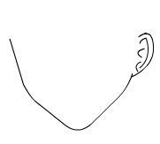 用Flash繪制美麗的女孩實例教程