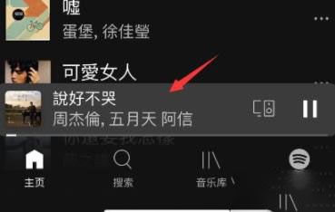 spotify看歌詞詳細方法