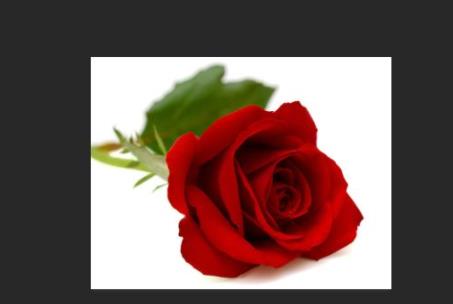 ps分辨率dpi怎么調詳細介紹