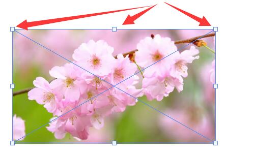 ps導(dǎo)入圖片到圖層調(diào)整大小教程