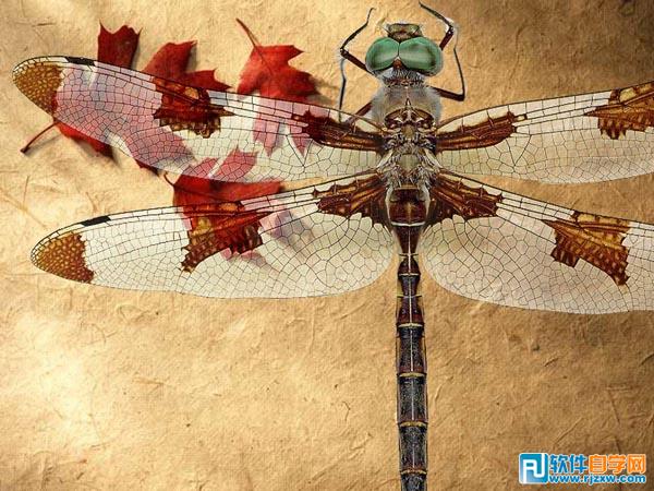 怎樣用ps換背景顏色