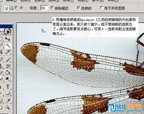 怎樣用ps換背景顏色