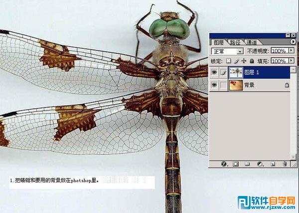 怎樣用ps換背景顏色