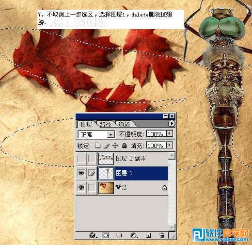 怎樣用ps換背景顏色