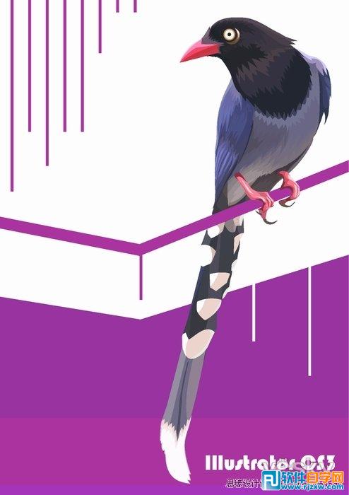 IllustratorCS6用色階畫法精細設計鳥類插畫