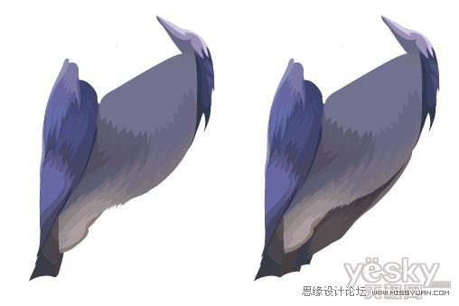 IllustratorCS6用色階畫法精細設計鳥類插畫