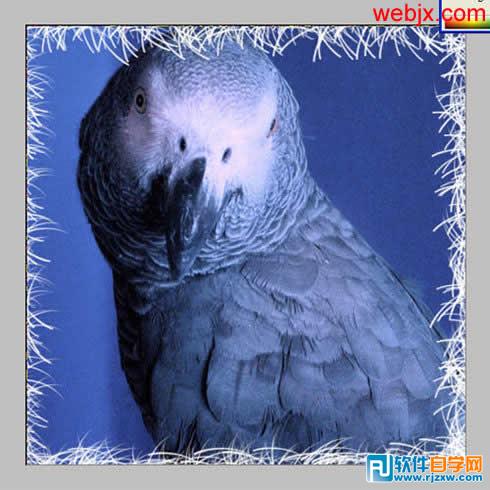 用PS畫筆制作多彩邊框