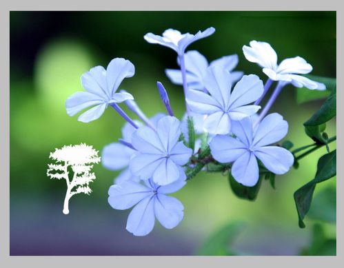 PS制作最簡單的動態圖片