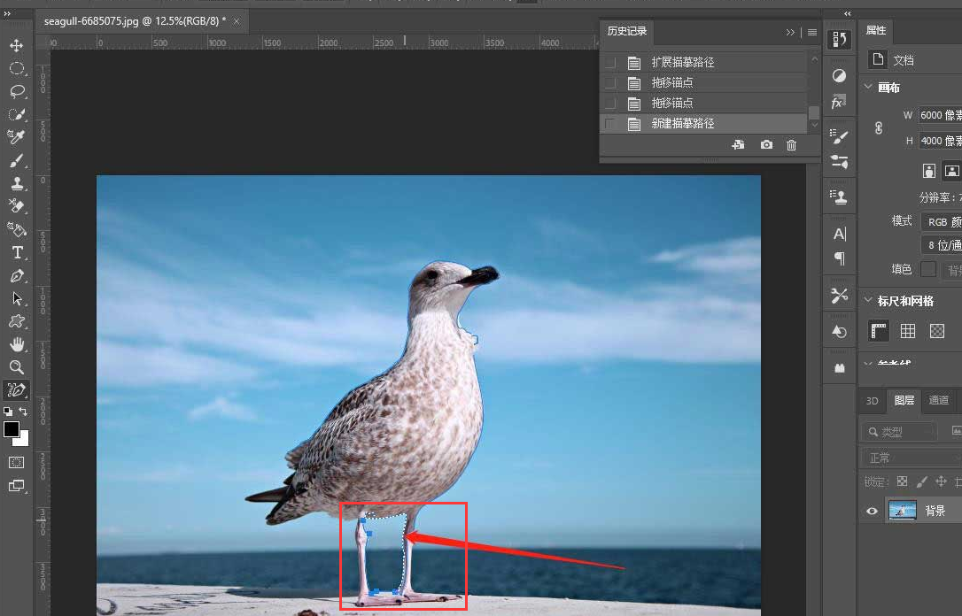 ps圖形轉路徑技巧分享
