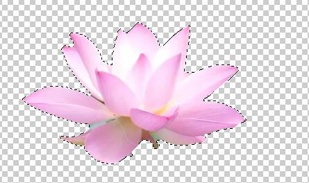 ps去掉圖片背景保留物體教程