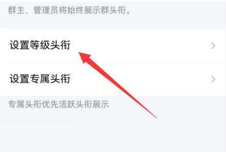 qq群頭銜設(shè)置動態(tài)教程