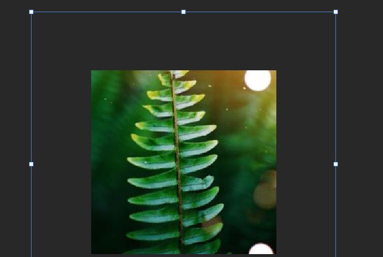 ps標尺工具怎么用拉直詳細介紹