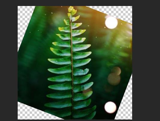 ps標尺工具怎么用拉直詳細介紹