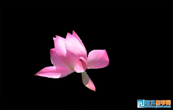 第十課：PS利用快速蒙板摳圖