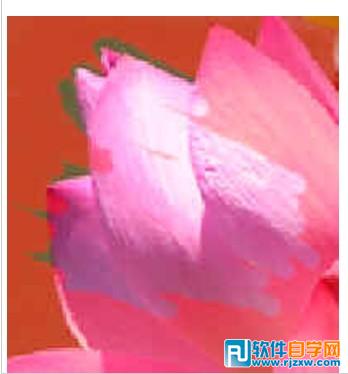 第十課：PS利用快速蒙板摳圖