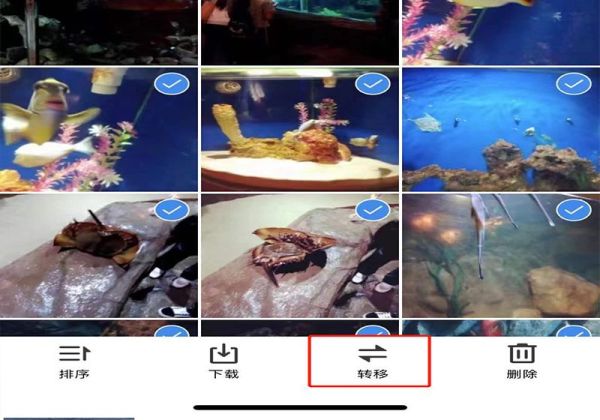 qq空間的相冊(cè)如何整體遷移