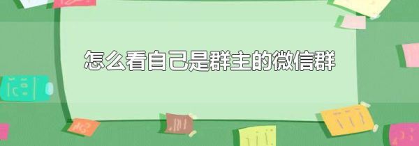 怎么看自己是群主的微信群