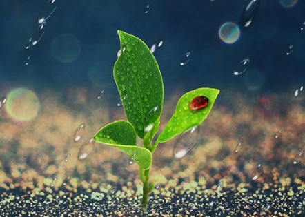 一個手機號可以注冊兩個微信嗎