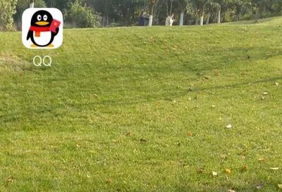 如何查看QQ群在線人數(shù)