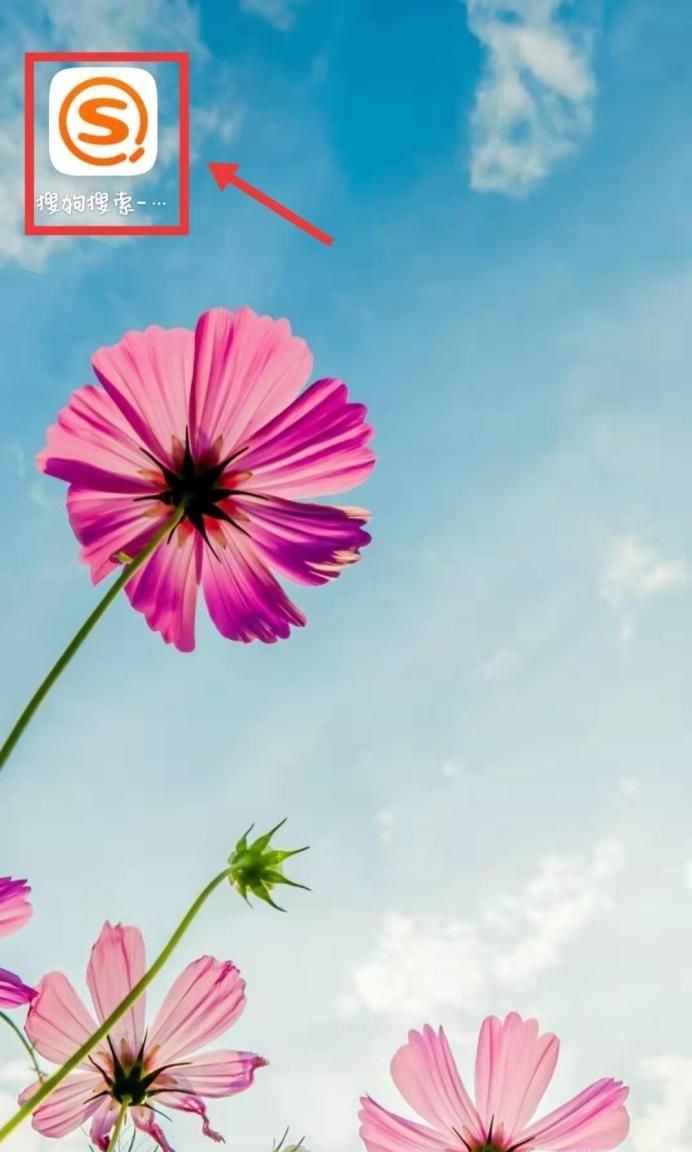 如何申請企業支付寶賬號