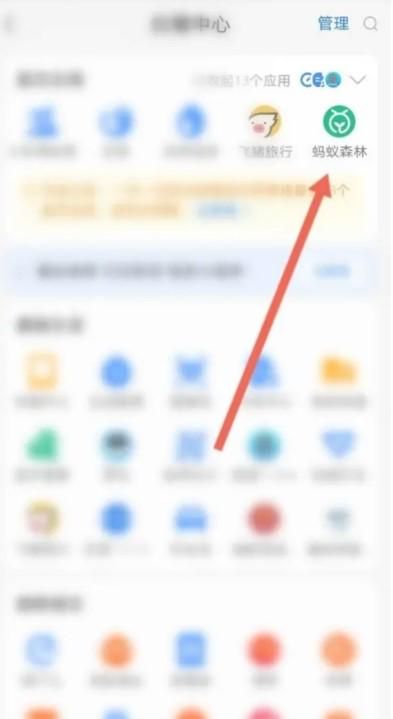 支付寶螞蟻森林亞洲金貓?jiān)趺传@得